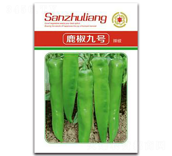 ¹����̖�ཷ-�����N��-�����Z