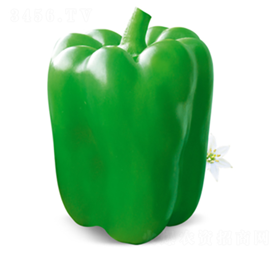 ¹����̖(h��o)-�����N��-�����Z