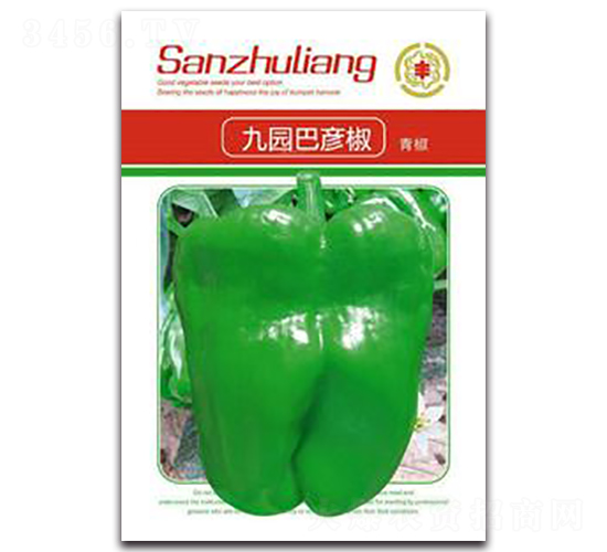 �ň@�͏���-�����N��-�����Z