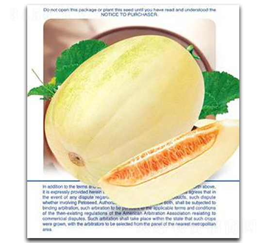 ������̖-��ϷN��-�����Z