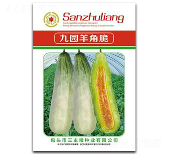 �ň@��Ǵ�-��ϷN��-�����Z