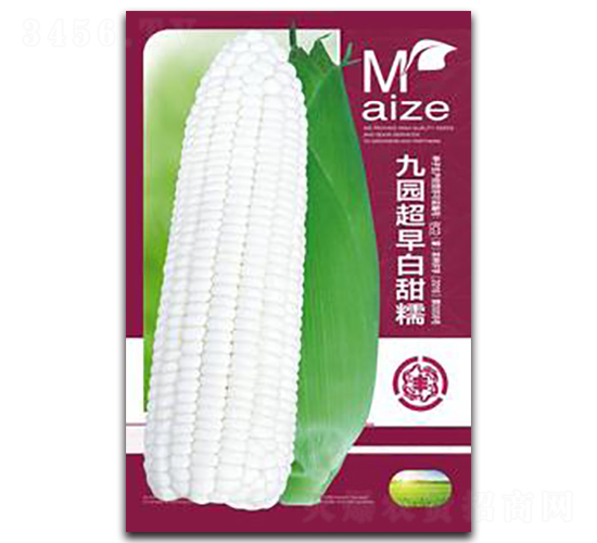 �ň@�������Ŵ-Ŵ���׷N��-�����Z