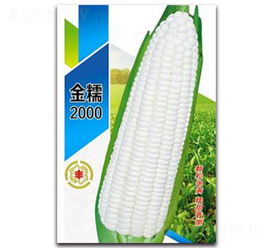 ��Ŵ2000-Ŵ���׷N��-�����Z