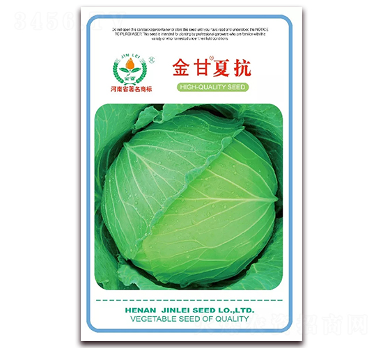 ����Ŀ�-���{(l��n)�N��-���ٷN��