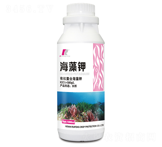 �����-�J�S����