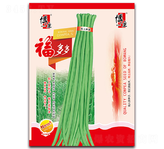 ���������-�����N��-����