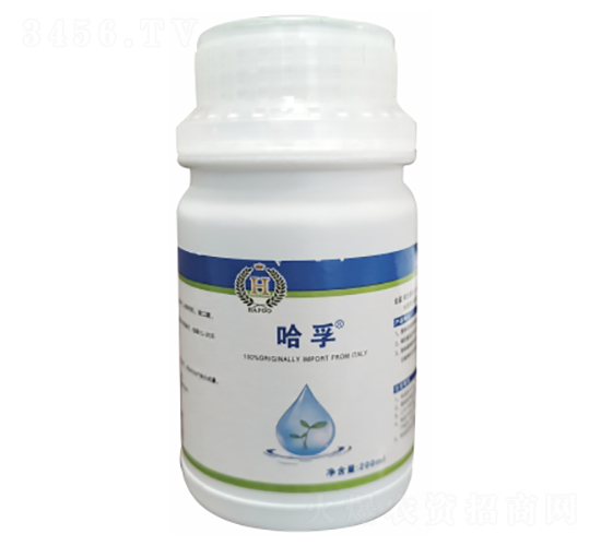 Һ�w���-��˼�D-��������