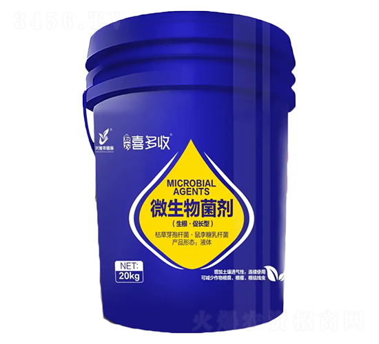 ΢�������-��(��i)�r(n��ng)ϲ����-��(��i)�r(n��ng)ֲ��