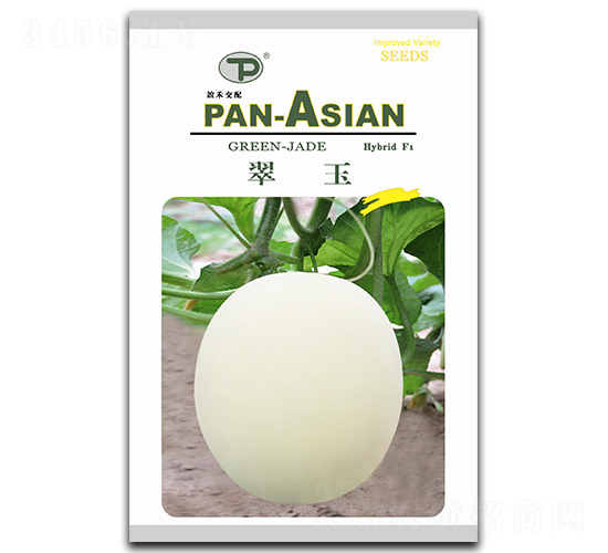 ����-��ϷN��-�x��