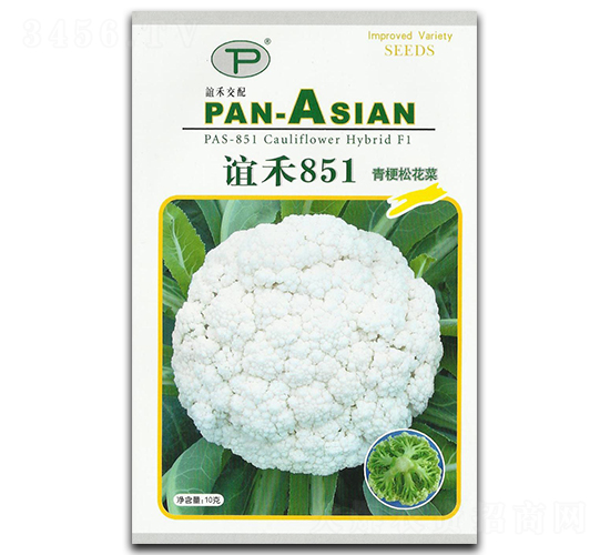 �x��851-�ɻ��˷N��-�x��