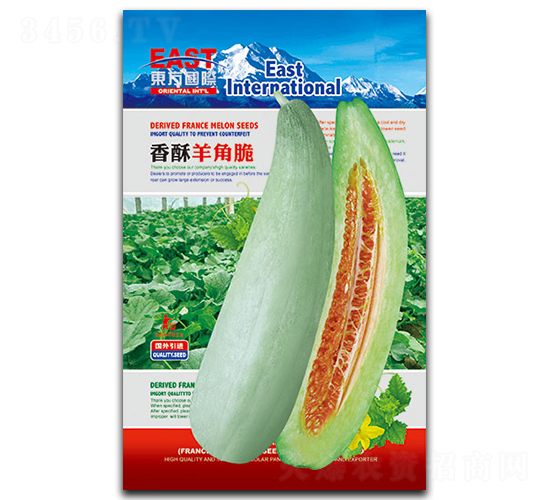 ������Ǵ�-��ϷN��-�����_(d��)