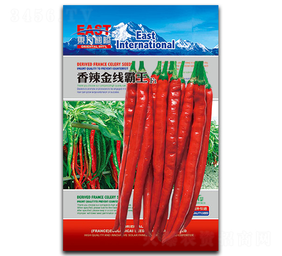 �����𾀰���-�����N��-�����_