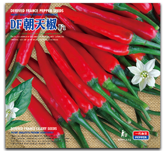 DF���콷-�����N��-�����_(d��)