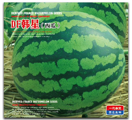 DF�n��-���ϷN��-�����_(d��)