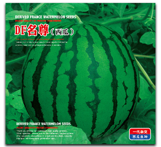 DF����-���ϷN��-�����_(d��)