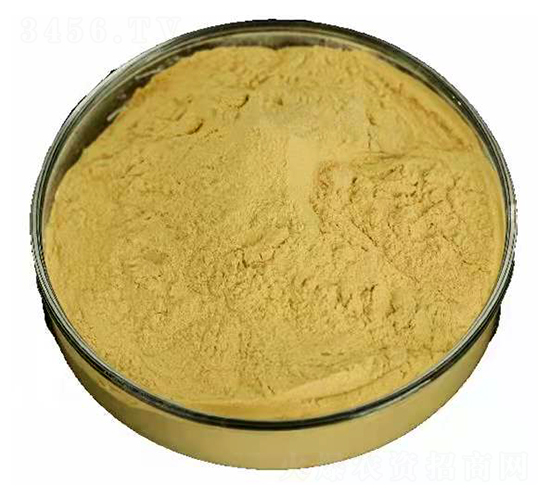 �����Ƿ�ĩ-��?ji��n)����r(n��ng)