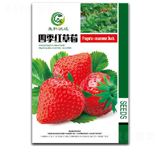 �ļ��t��ݮ-��ݮ�N��-�����_(d��)