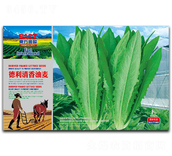 ������������-�����˷N��-�����_