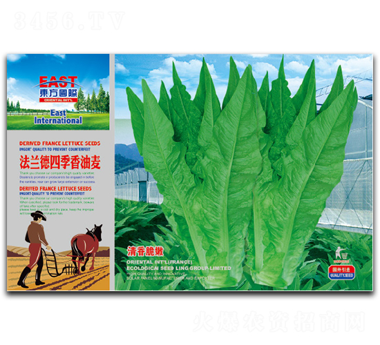 ���m���ļ�������-�����˷N��-�����_(d��)