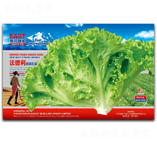 ��������������-���˷N��-�����_(d��)