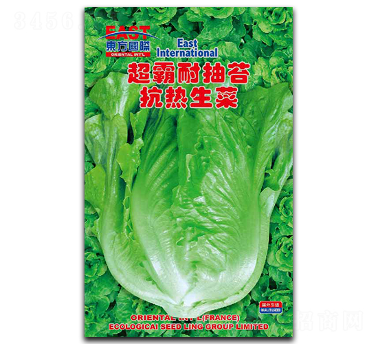 �����ͳ�̦����-���˷N��-�����_