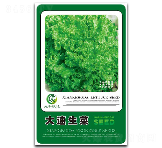 ��������-���˷N��-�����_