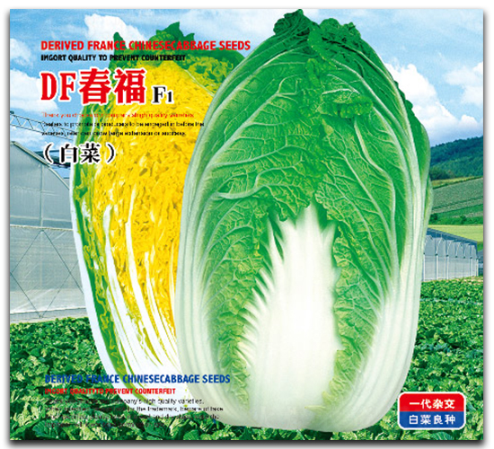 DF����-�ײ˷N��-�����_(d��)