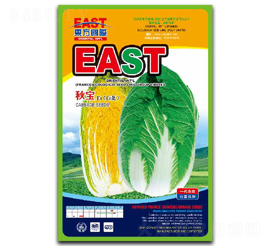 �-�ײ˷N��-�����_