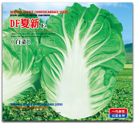 DF����F1���ޣ�-�ײ˷N��-�����_(d��)