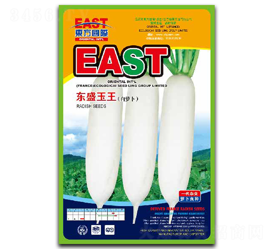 �|ʢ����-�}���N��-�����_(d��)