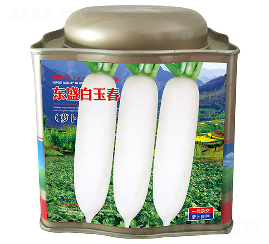 �|ʢ���񴺣��ޣ�-���}���N��-�����_(d��)