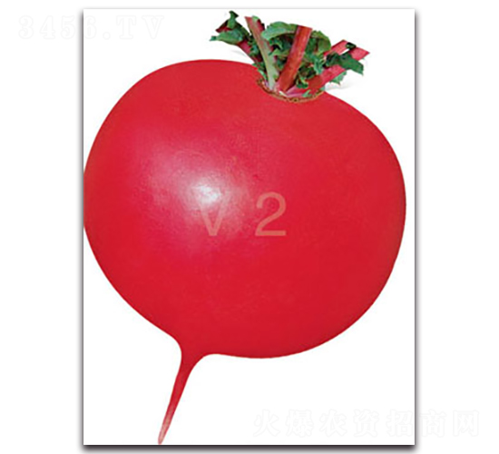 �S�r(n��ng)�tv2-�}���N��-�S�r(n��ng)�r(n��ng)�I(y��)