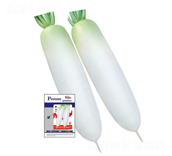 �r(n��ng)��-�}���N��-�S�r(n��ng)�r(n��ng)�I(y��)