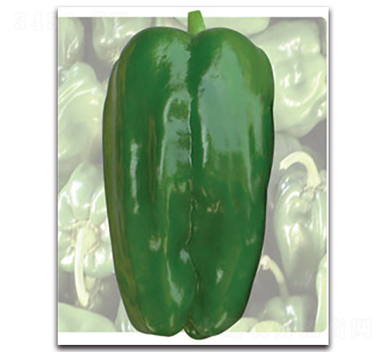 ��-�����N��-�S�r(n��ng)�r(n��ng)�I(y��)