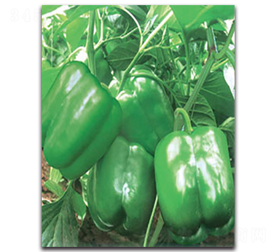 ������-�����N��-�S�r(n��ng)�r(n��ng)�I(y��)