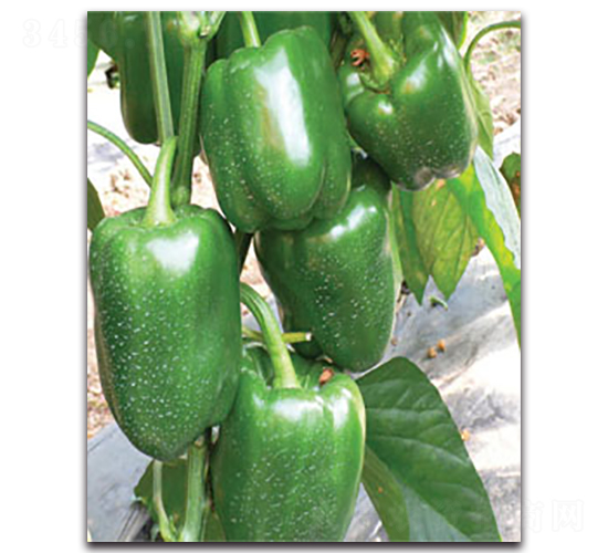 ������02̖-�����N��-�S�r(n��ng)�r(n��ng)�I(y��)