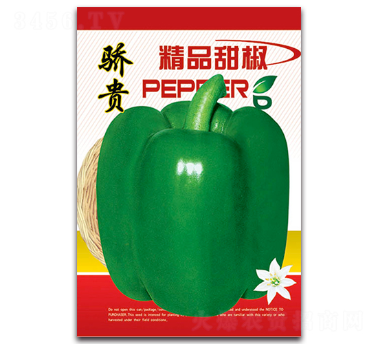 ��F-�����N��-�S�r(n��ng)�r(n��ng)�I(y��)