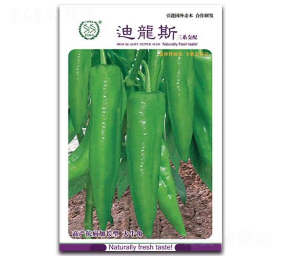 ����˹-�����N��-�S�r�r�I(y��)