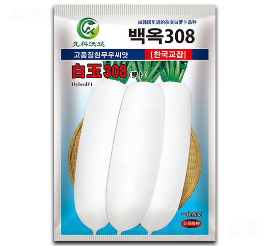 ����308-���}���N��-�����_