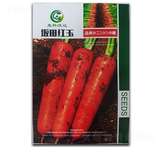 ����t��-���}���N��-�����_(d��)