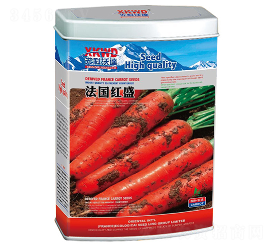 �����tʢ���ޣ�-���}���N��-�����_(d��)