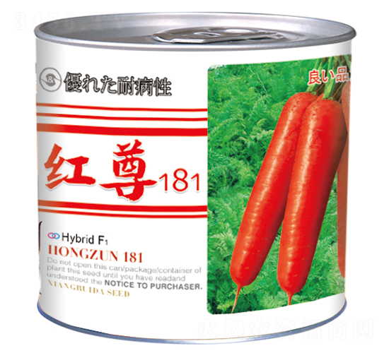 �t��181���ޣ�-���}���N��-�����_(d��)