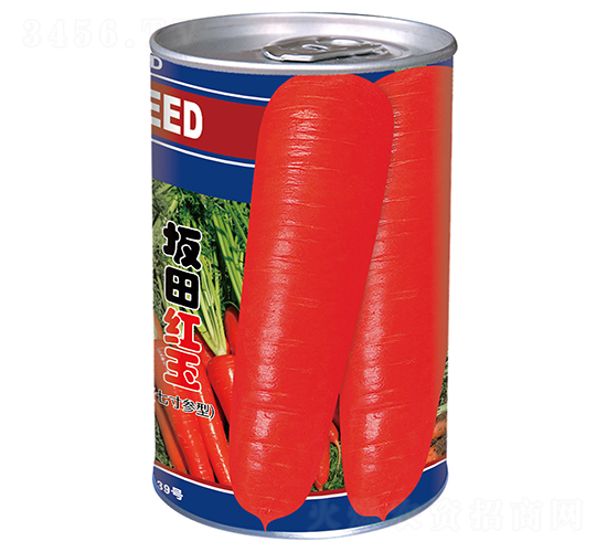 ����t�񣨹ޣ�-���}���N��-�����_