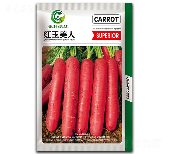 �t������-���}���N��-�����_