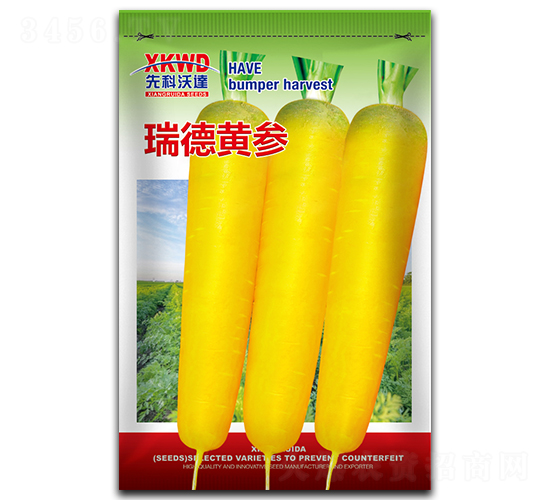 ����S��-���}���N��-�����_(d��)