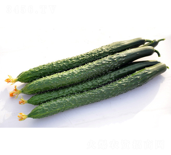 DY6-8-�S�ϷN��-����r(n��ng)�I(y��)