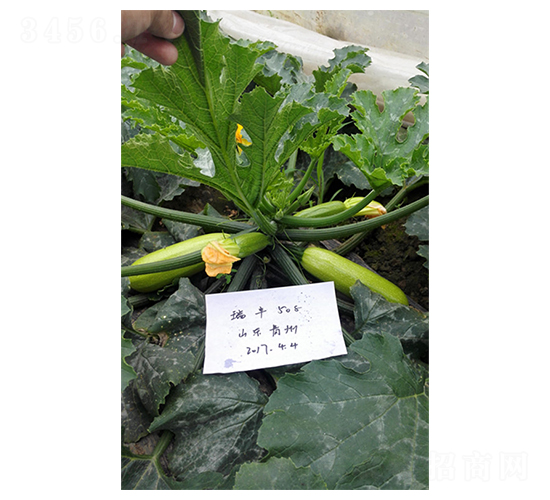 ���S508-�����J�N��-����r(n��ng)�I(y��)