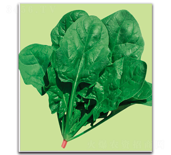 �S��-���˷N��-�����r(n��ng)