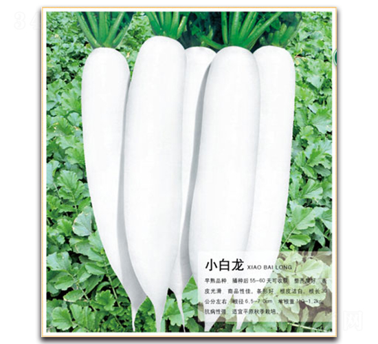 С����-�}���N��-�����r(n��ng)