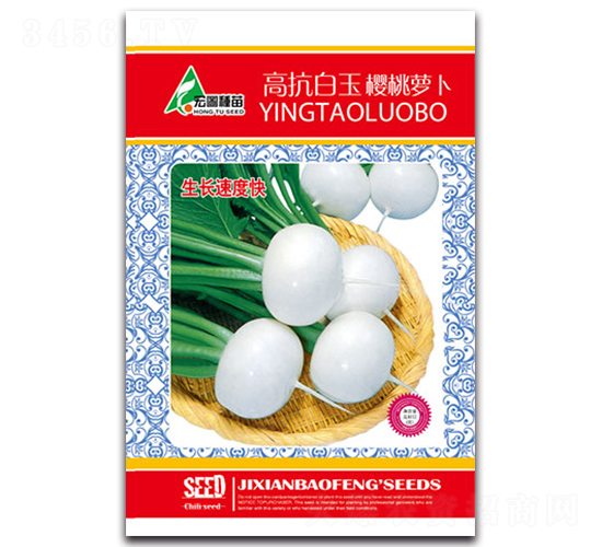 �߿���������}��-�}���N��-�����r